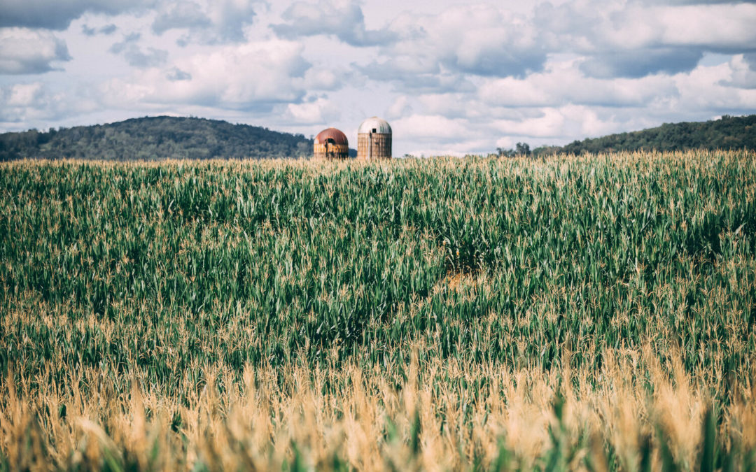 Down on the Farm in Jefferson County, Tennessee