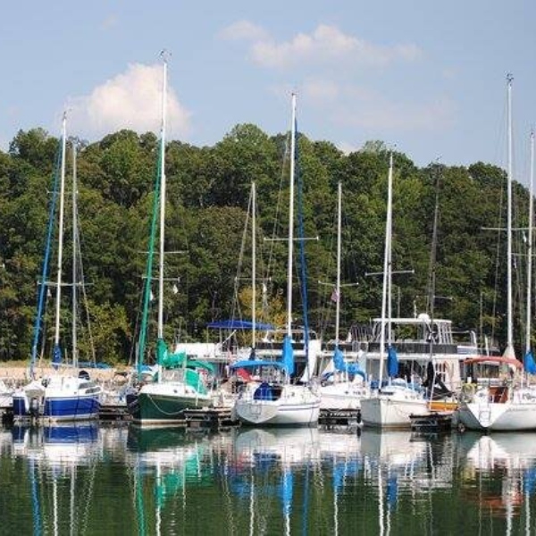a line of sail boats sitting at black oak marina in jefferson city on cherokee lake