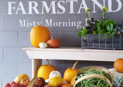 Misty Morning Farm