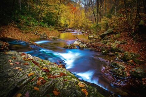 9 Great Hikes to See Peak Colors in the Smokies All Through Fall ...