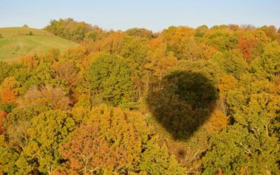 The Lakeside of the Smokies Balloon Fest – Learn About It!