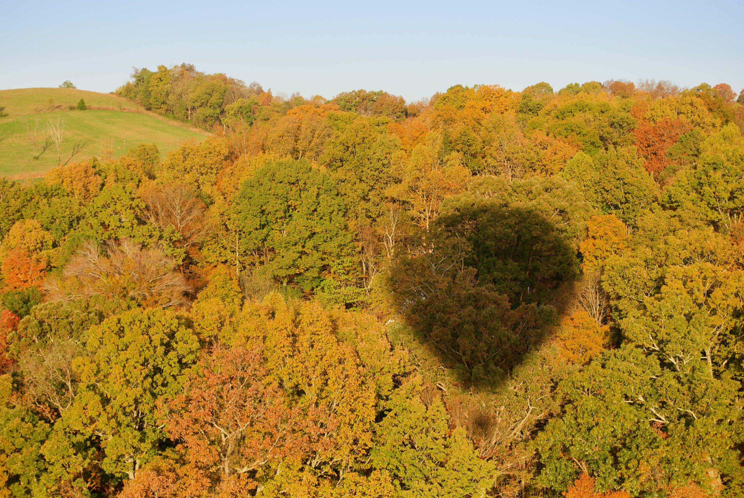 The Lakeside of the Smokies Balloon Fest Learn About It! Visit