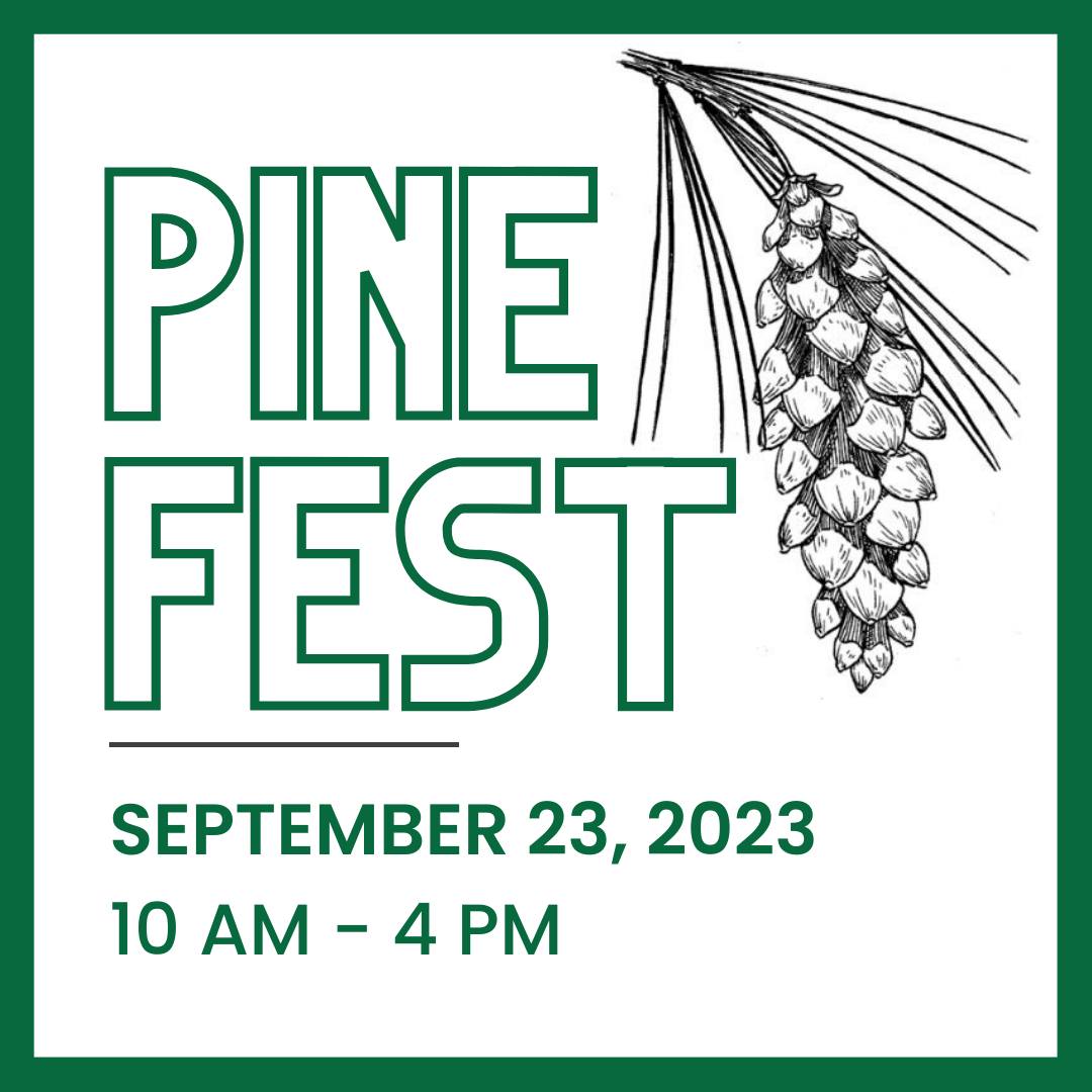 Pine Fest Logo