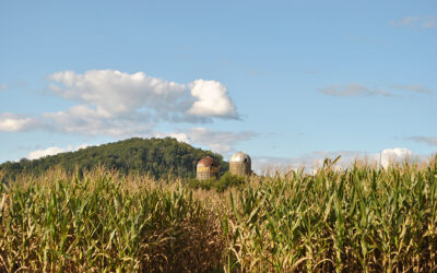 Down on the Farm in Jefferson County, Tennessee