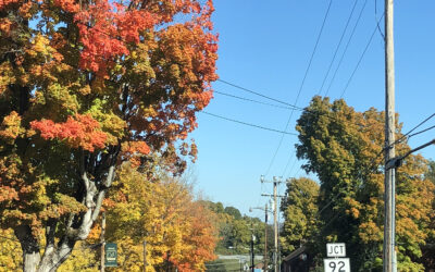 Fall Colors and Where to Find Them