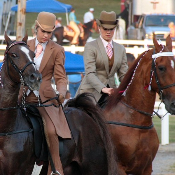 two participants of the Chestnut Hill Horse Show on their horses