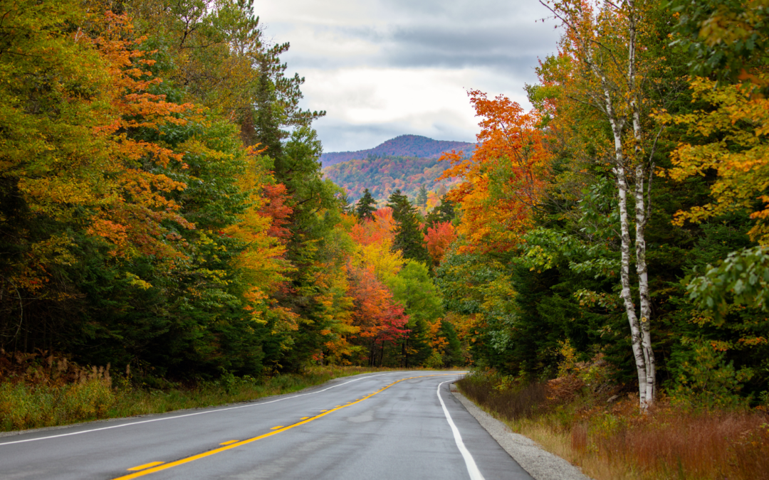 Smoky Mountains Fall roads