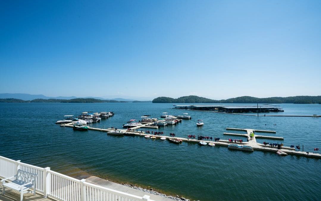 Douglas Lake Marina