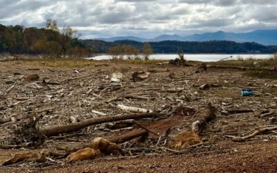 Volunteer Clean-up Removes Over 7,000 Pounds of Litter from Douglas Lake Headwaters