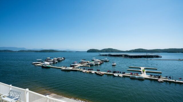 Douglas Lake Marina