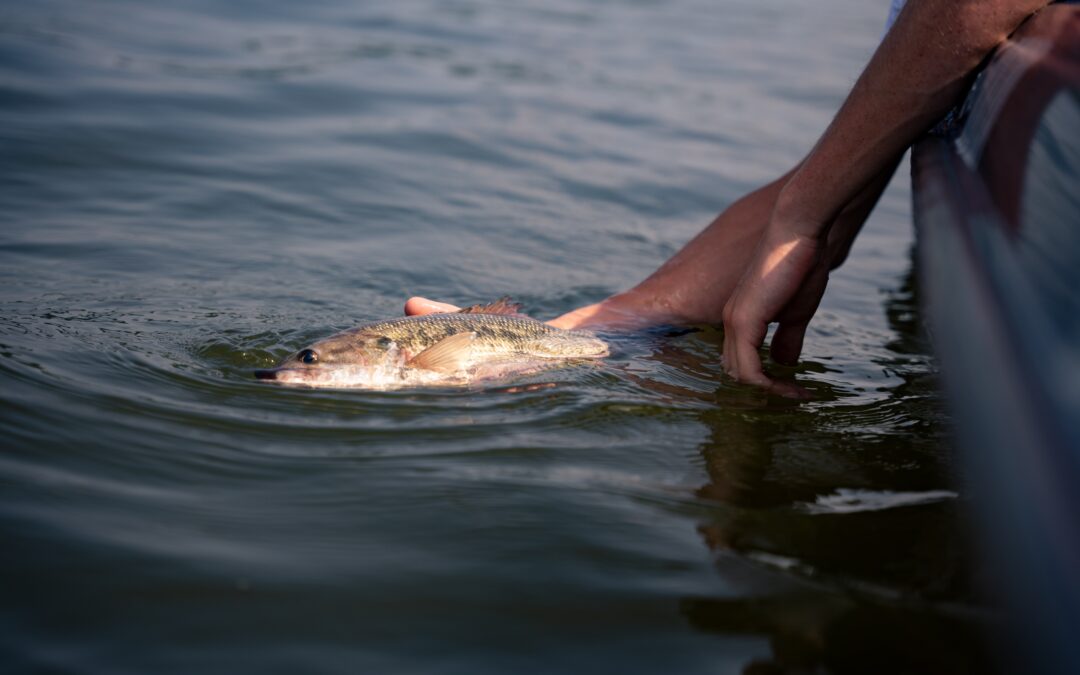 Man in a boat holding fish in water