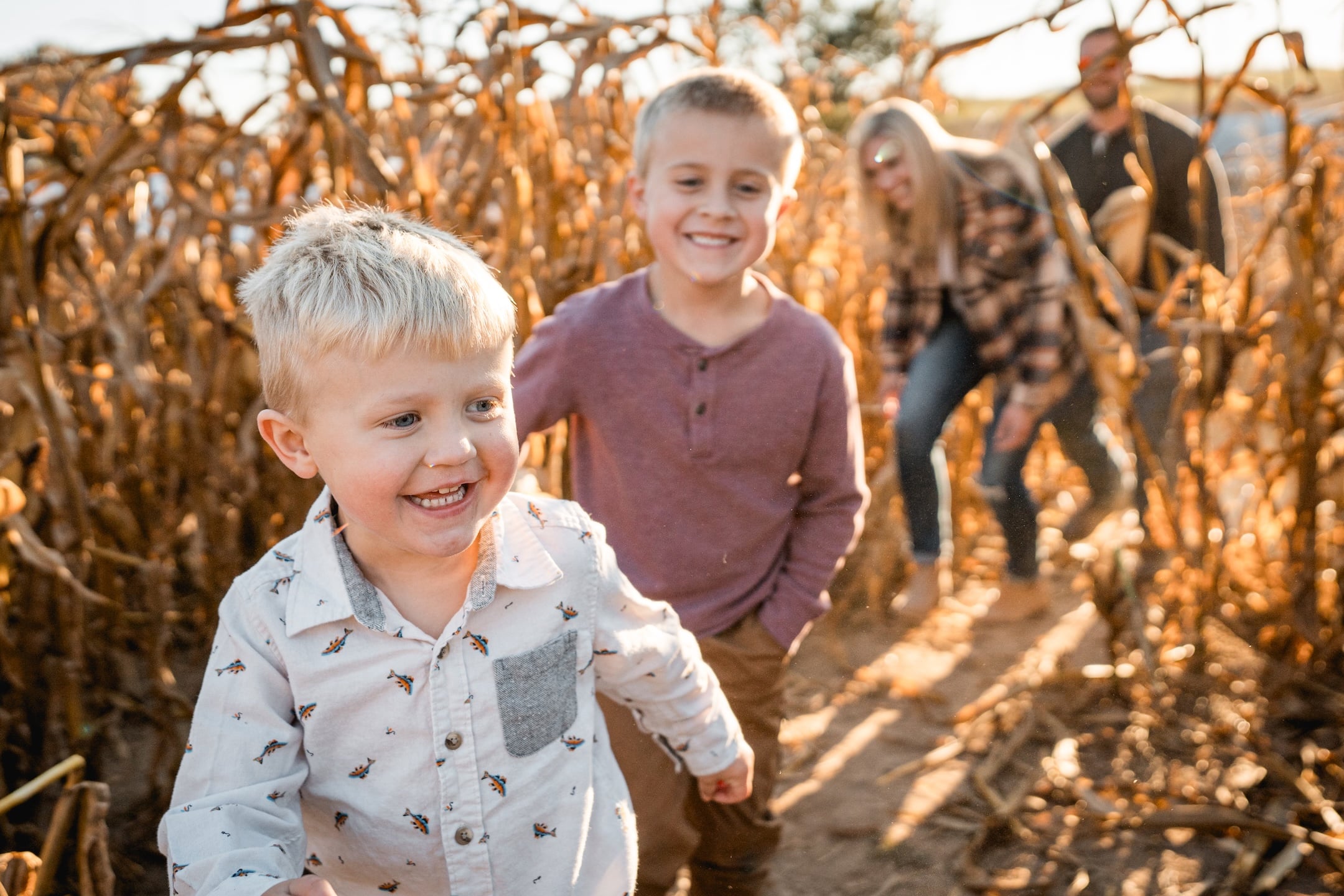 family enjoying themselves in an east tn corn maze at ballinger farm in jefferson county tn