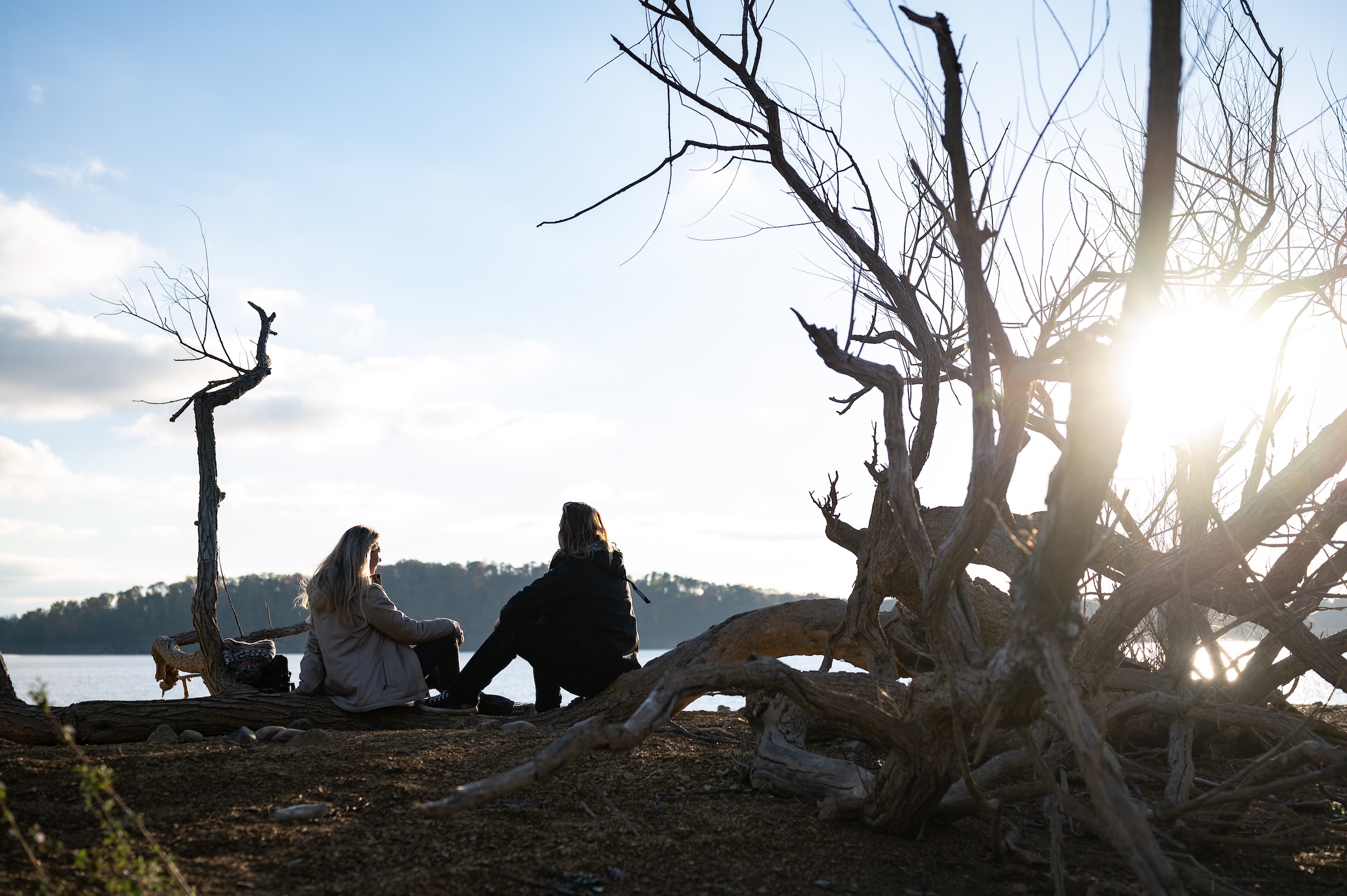 A man and woman sitting on the shore Douglas Lake surrounded by tree branches with sun shining through them