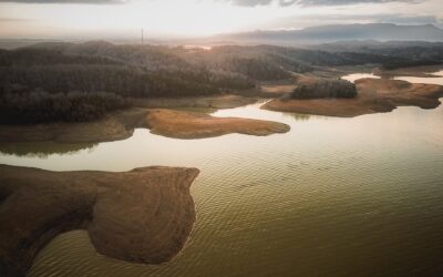 Discover the Douglas Lake Diamonds: Hidden Gems in the Lakeside of the Smokies