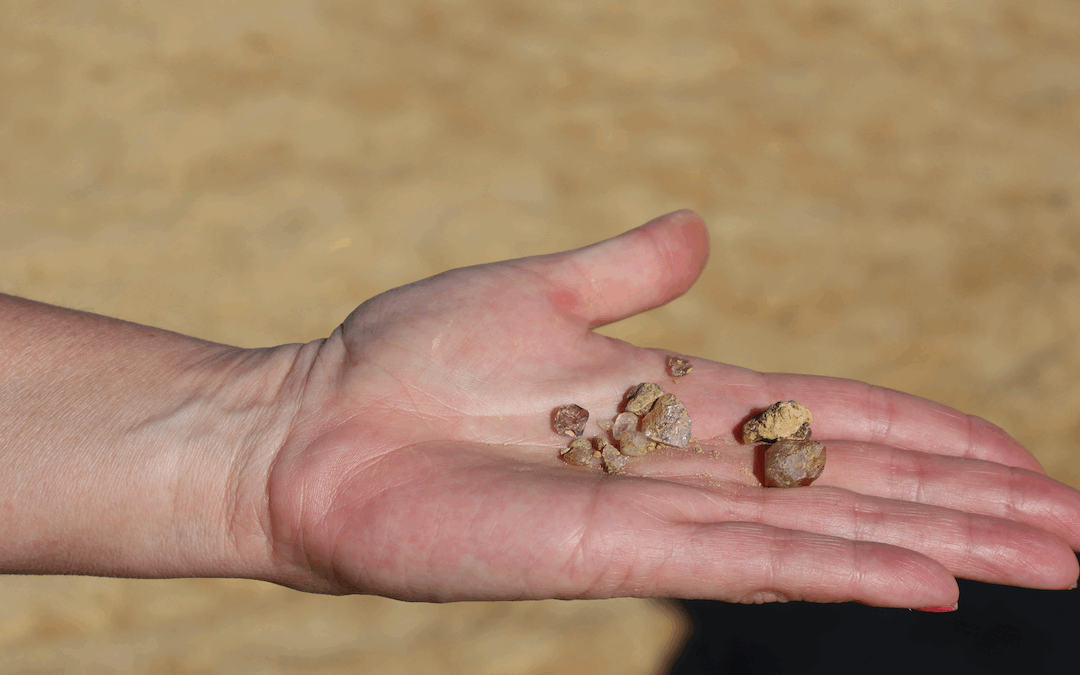 Discover the Douglas Lake Diamonds: Hidden Gems in the Lakeside of the Smokies