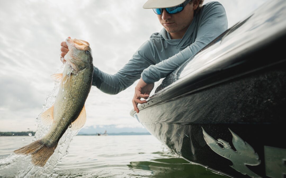 Spring 2026 Fishing Report: Douglas Lake, Cherokee Lake & Holston River in Jefferson County, TN