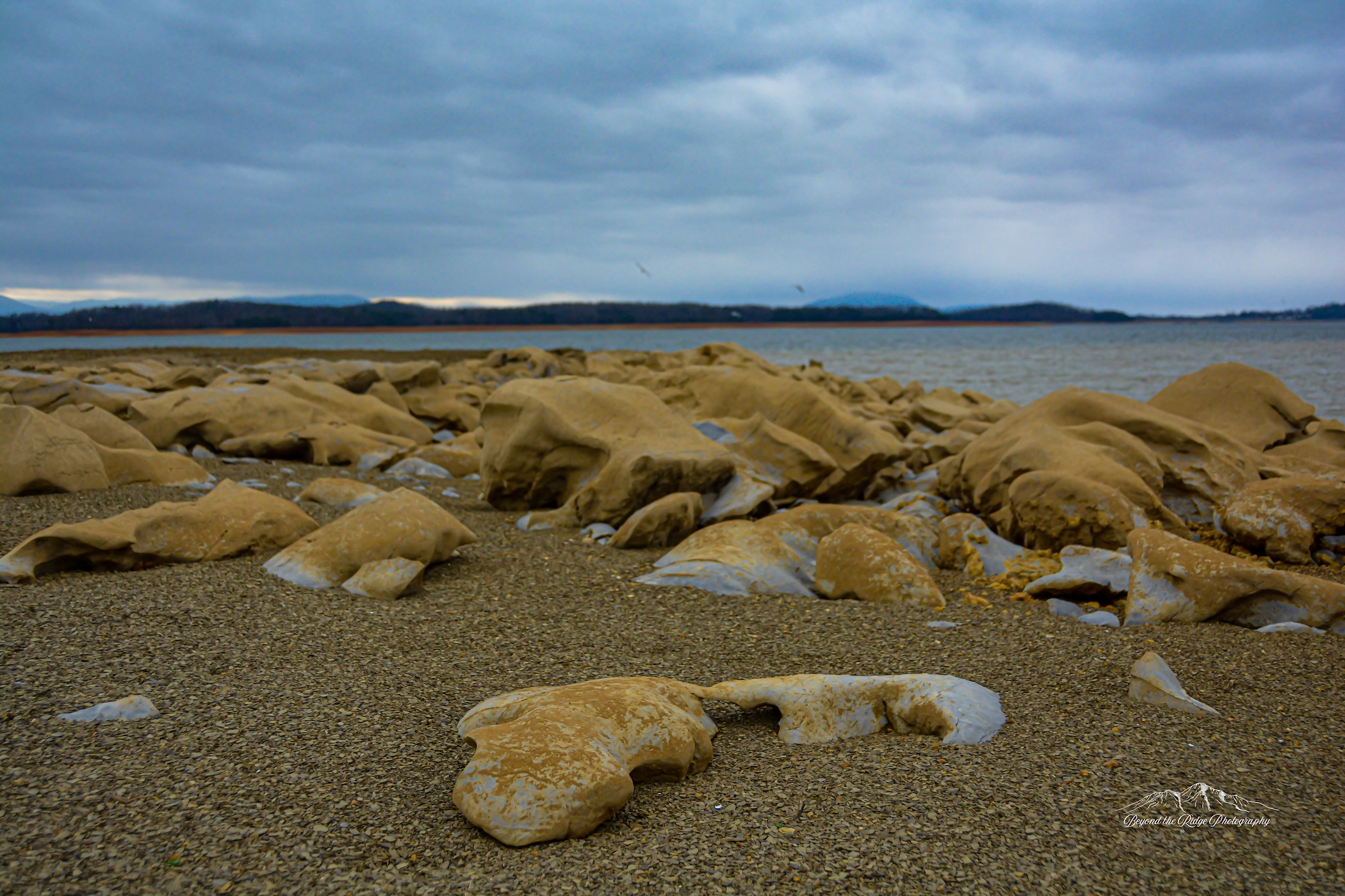 Historic building with signage and flags
