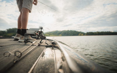 Jefferson County TN Summer Fishing Report: Douglas Lake, Cherokee Lake & Mossy Creek Fishing Guide
