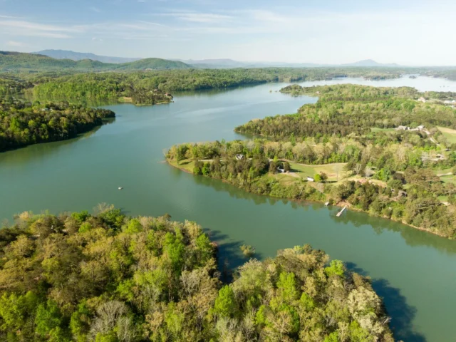 Hello, spring! From blooming trails to peaceful views, there’s no better times to explore the Lakeside of the Smokies! 

Share your spring shots using #VisitJeffCo for a chance to be featured!