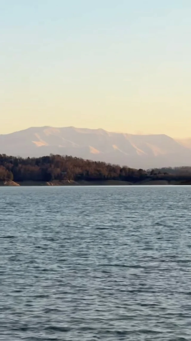 When seasons collide on the Lakeside of the Smokies… 

#VisitJeffCo #FishJeffCo #LakesideoftheSmokies #DouglasLake #9LakesEastTN #SpringintheSmokies #DandridgeTN

🎥: @riley__davis