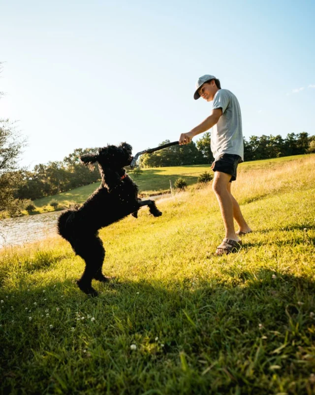 Happy National Puppy Day! Today, we celebrate our furry friends who make every day on the Lakeside even better! 🐾

#VisitJeffersonCountyTN #VisitJeffCo #NationalPuppyDay #CherokeeLake #DouglasLake #LakesideoftheSmokies #PuppiesofInstagram