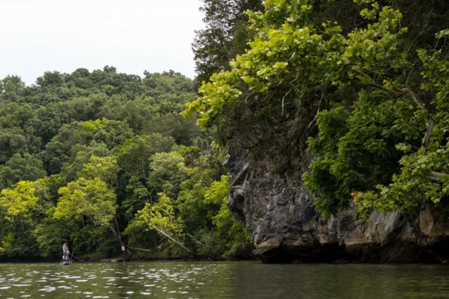 Happy Earth Day! We’re grateful every day for the natural beauty that surrounds us on the Lakeside. 

Whether you’re hiking, fishing, or simply enjoying the view, take a moment to cherish the peace of nature! #EarthDay