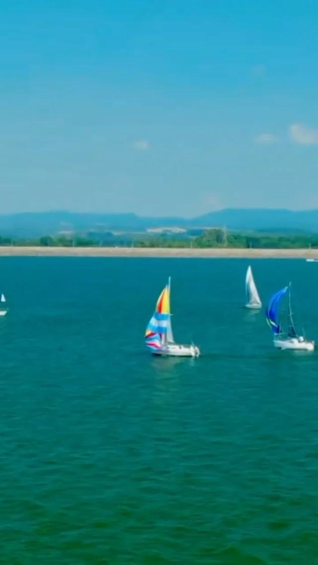 ⛵️ Who says you need the ocean to go sailing? Tucked away in the heart of East Tennessee, the Cherokee sailing club on Cherokee Lake proves that great sailing happens right here in the mountains. Discover smooth winds, scenic views and welcoming community. Read all about it at: https://visitjeffersoncountytn.com/cherokee-lake-sailing-club/

#SailLocal #ExploreTennessee #CherokeeLake #MountainSailing #VisitJeffersonCountyTN #VisitJEFFCO #HiddenGemsofTennessee #LakesideOfTheSmokies